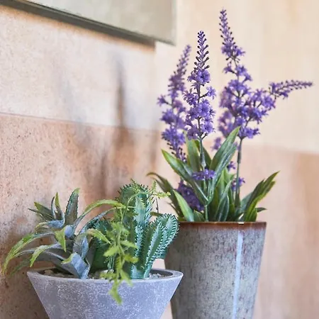 Idyllic With Amazing Courtyard, By Timecooler Lisbona