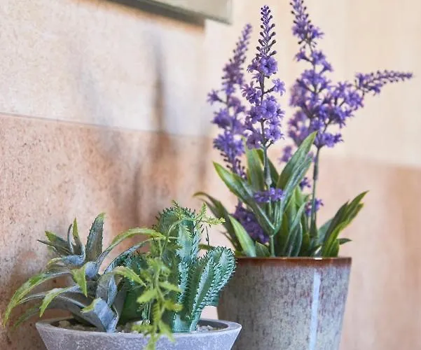 Idyllic With Amazing Courtyard, By Timecooler Lisboa